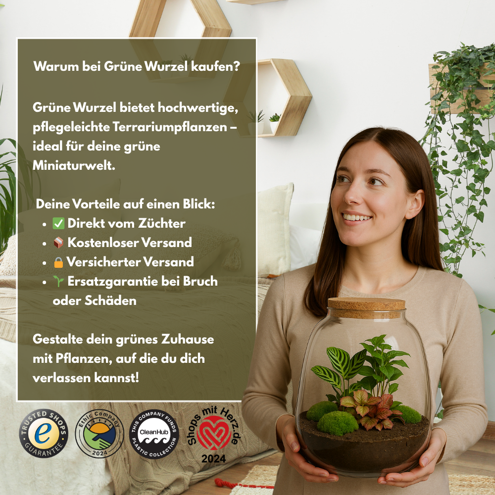 Pflanzen-Terrarium „Little Milky“ mit LED-Kork – Ø 17 cm, Höhe 25 cm