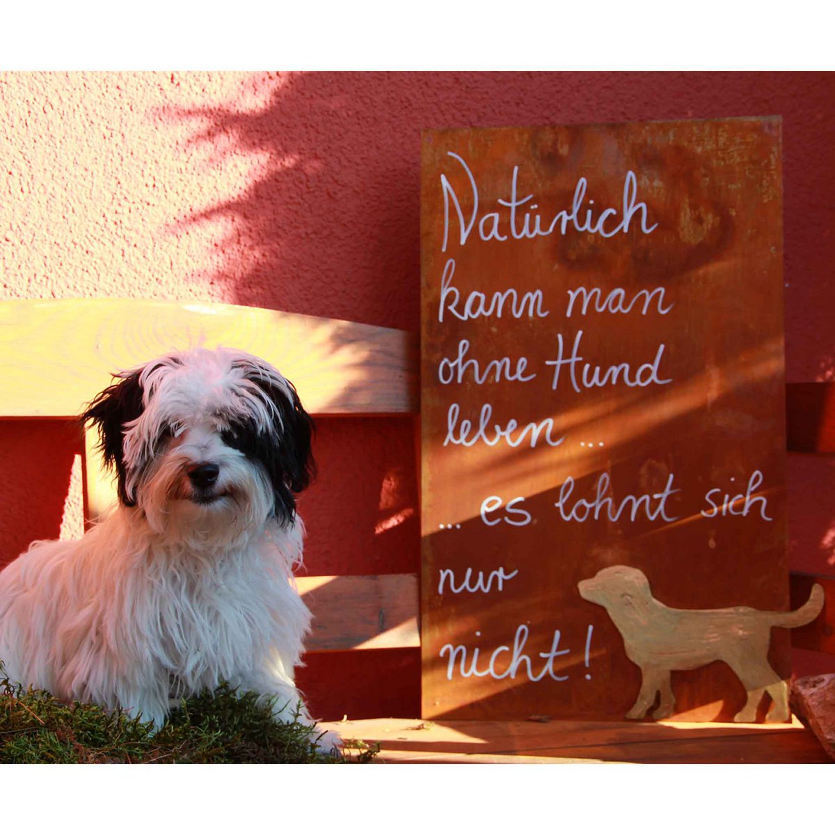 Rost Deko Schild mit Hunde Spruch 30x50cm Metall Spruch Vintage Wanddekoration Samy Hund Motiv