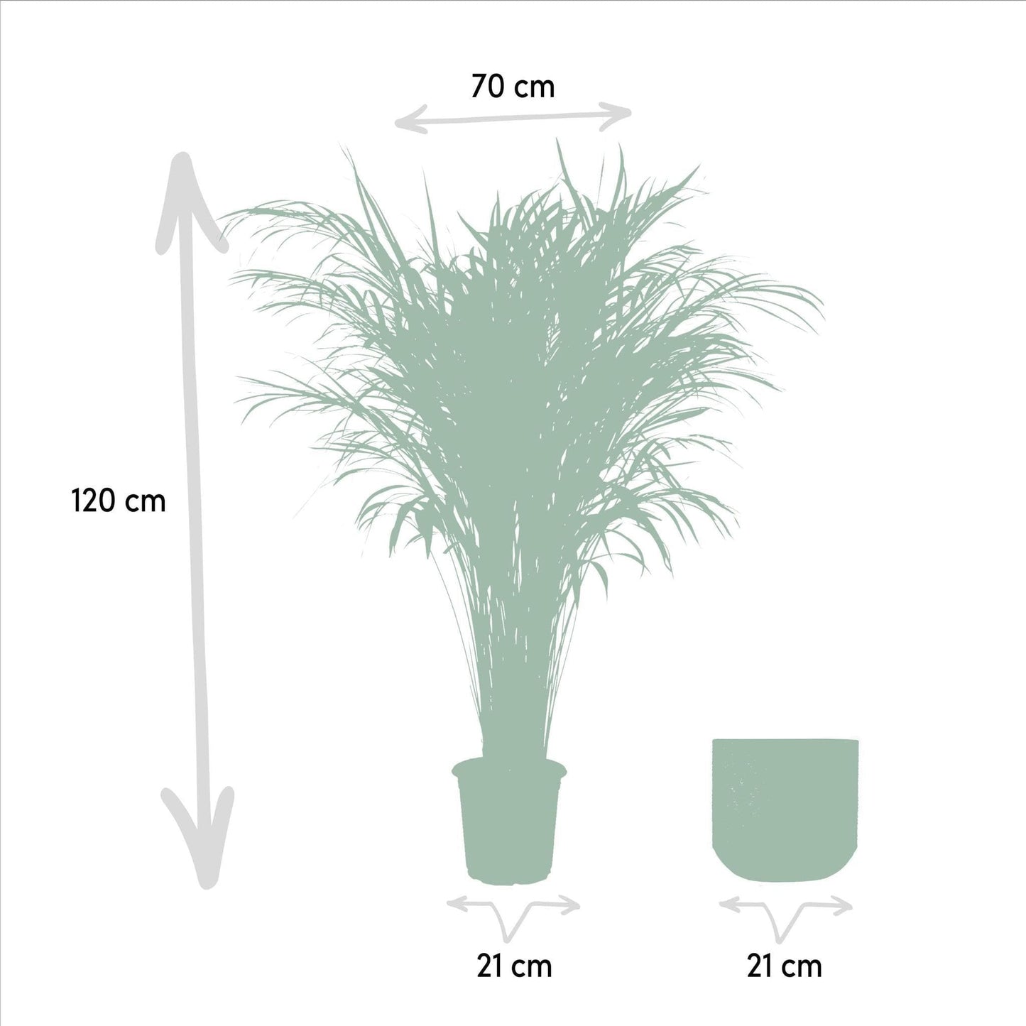 Areca Palme mit dekorativem Topf - 110 cm Höhe - 21 cm Durchmesser - grüne-wurzel