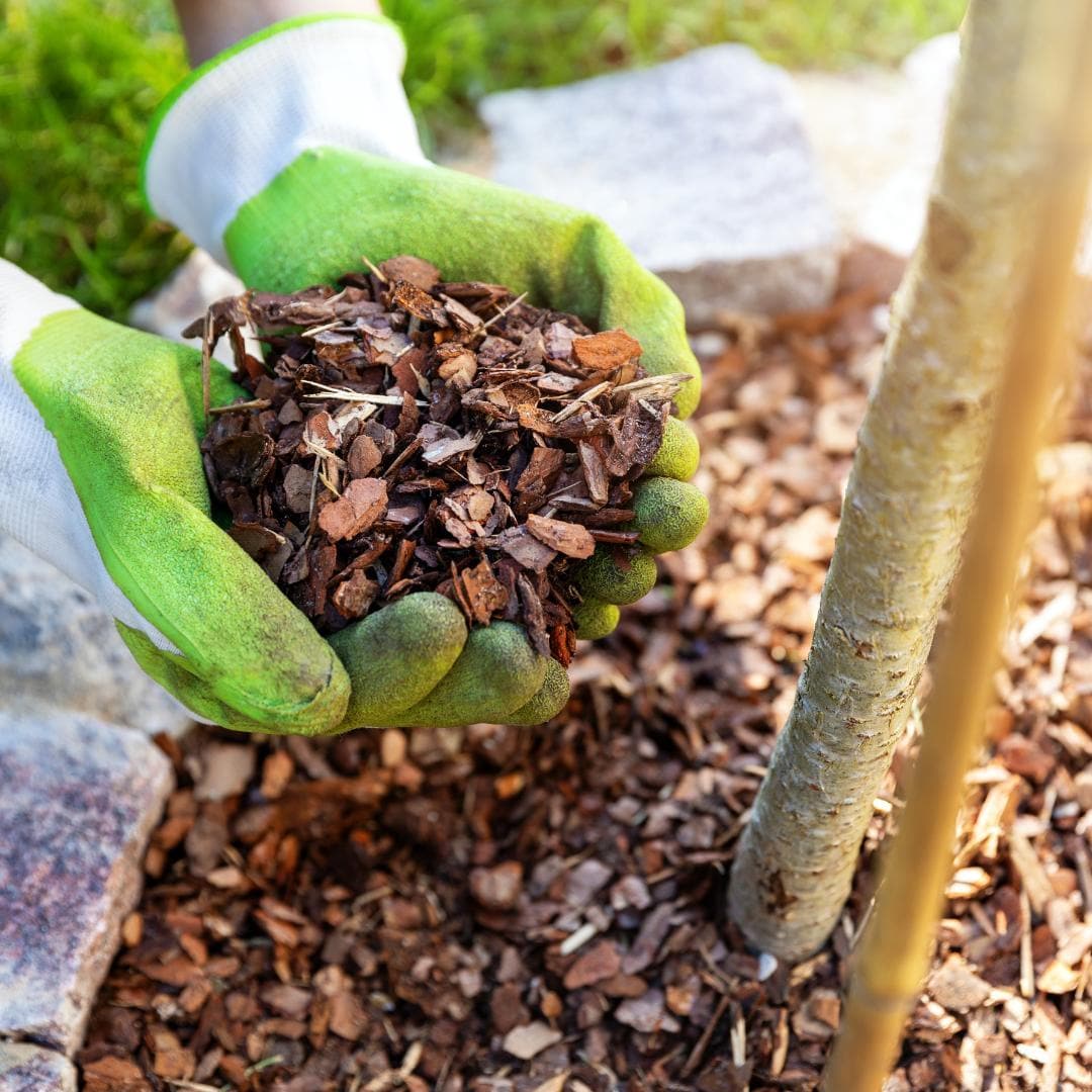 Culvita Holländische Baumrinde 40L – Ökologischer Bodendecker für Garten und Wege - grüne-wurzel