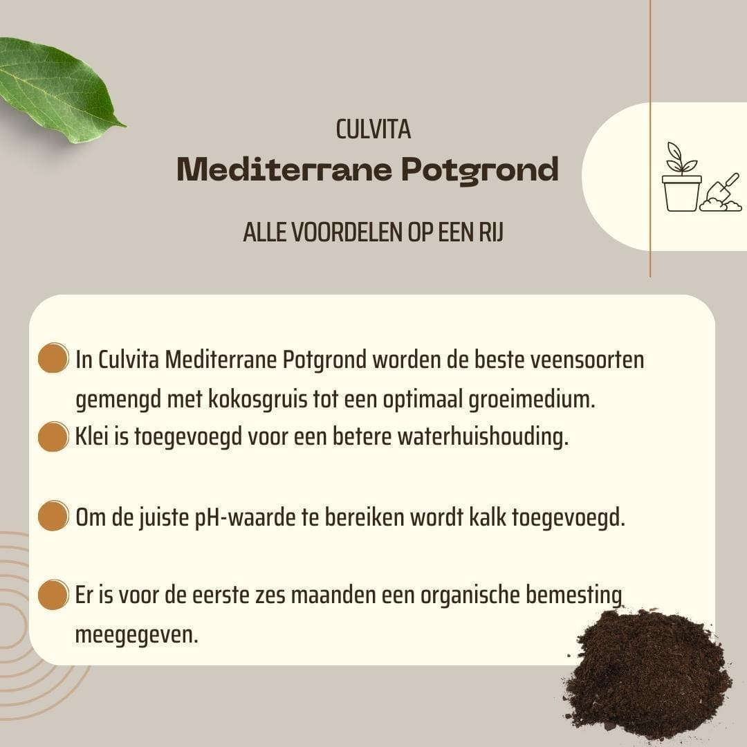 Culvita Mediterrane Pflanzenerde 40L + RhizoPlus – Optimiert für Oliven & Zitrus - grüne-wurzel