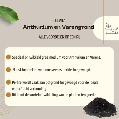 Culvita Spezial-Blumenerde für Anthurien & Farne, 5L – Optimales Wachstum für Ihre Zimmerpflanzen - grüne-wurzel