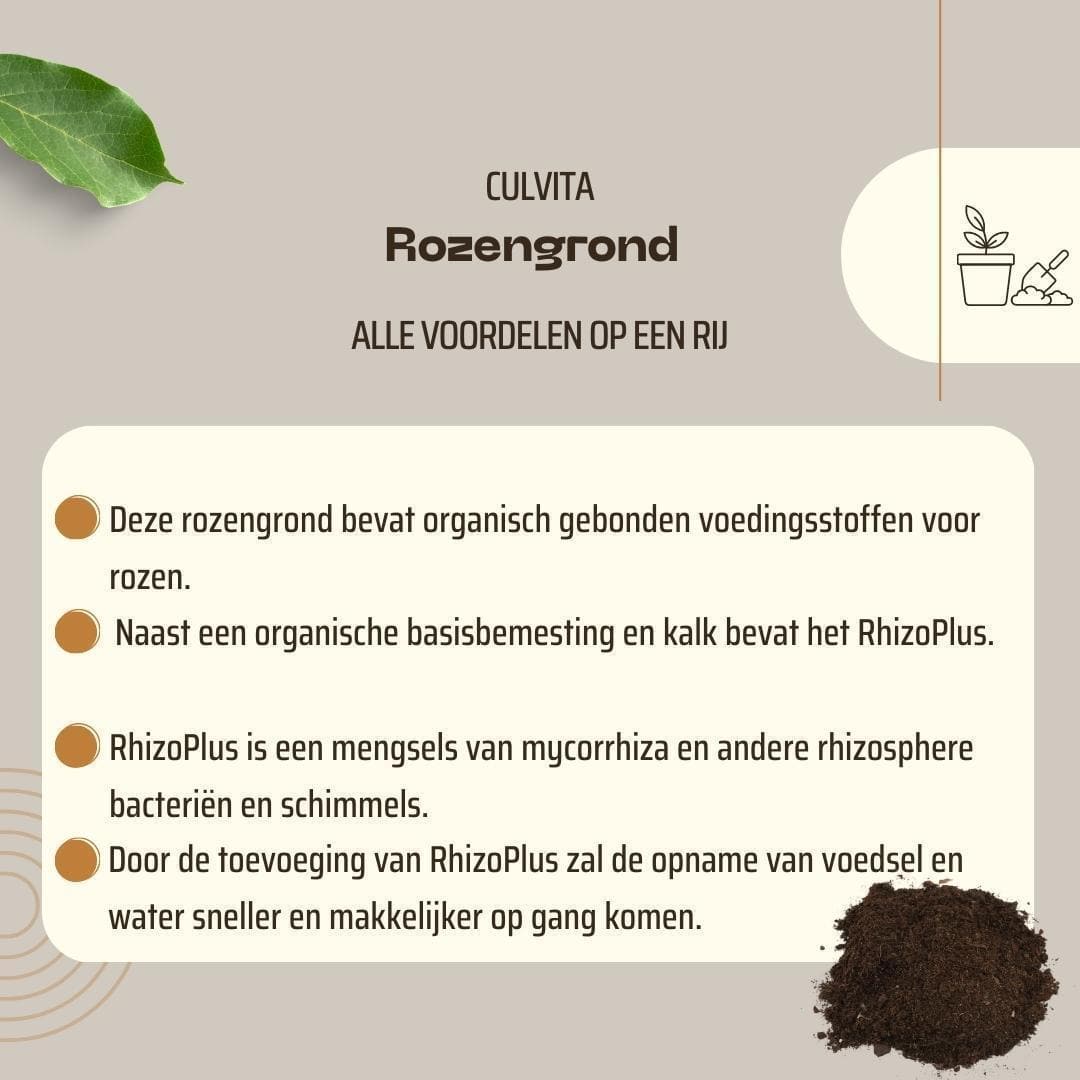 Culvita Spezialrosenerde mit RhizoPlus 40L - Optimale Nährstoffversorgung für Rosen - grüne-wurzel