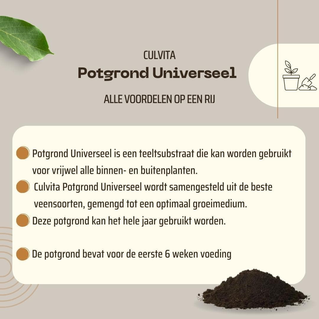 Culvita Universelle Blumenerde 40L - Optimale Pflanzennahrung für Haus & Garten - grüne-wurzel