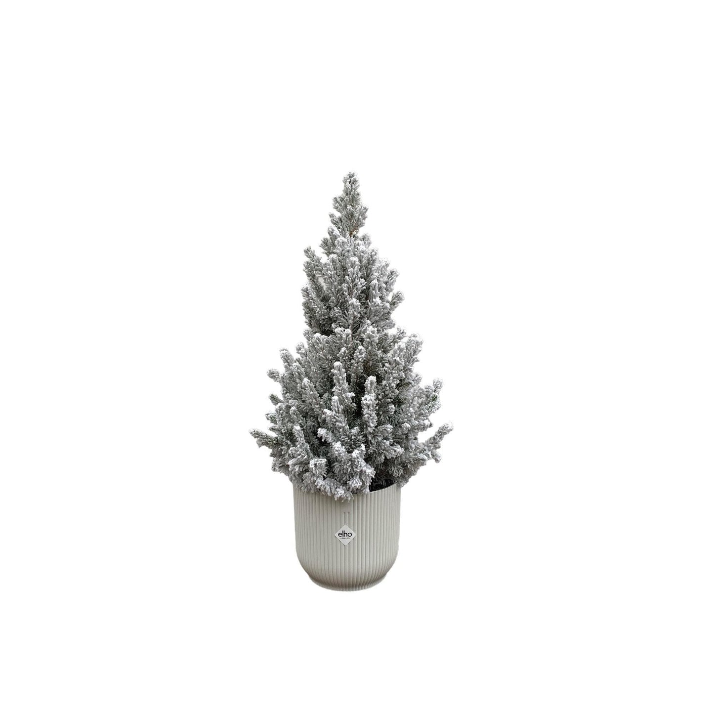 Picea Glauca Snow Covered with Elho Vibes Fold Pot Blue - Ø22cm, 60cm Houseplant Decoration