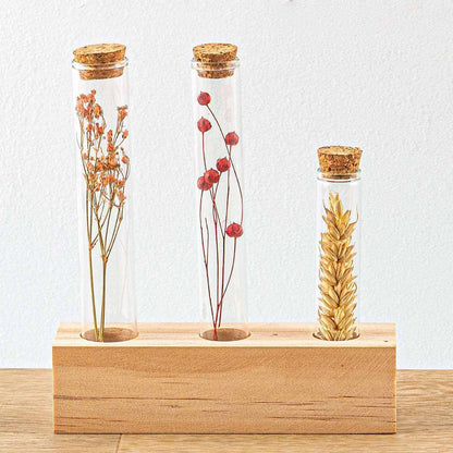 Holzständer für Getrocknete Blumenarrangements - Tube M - Kräuter & Blumenpräsentation Reagenzglas Desgin - grüne-wurzel