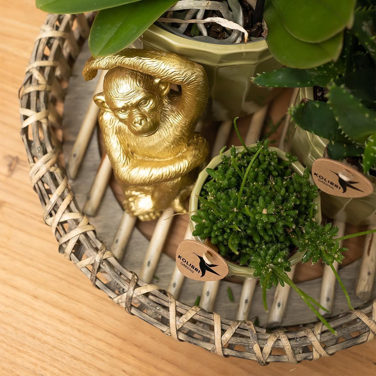 Kolibri Home | Exquisite Goldene Affenskulptur - Stilvolles Accessoire für jede Pflanzendekoration Affenstatue Dekoration - grüne-wurzel