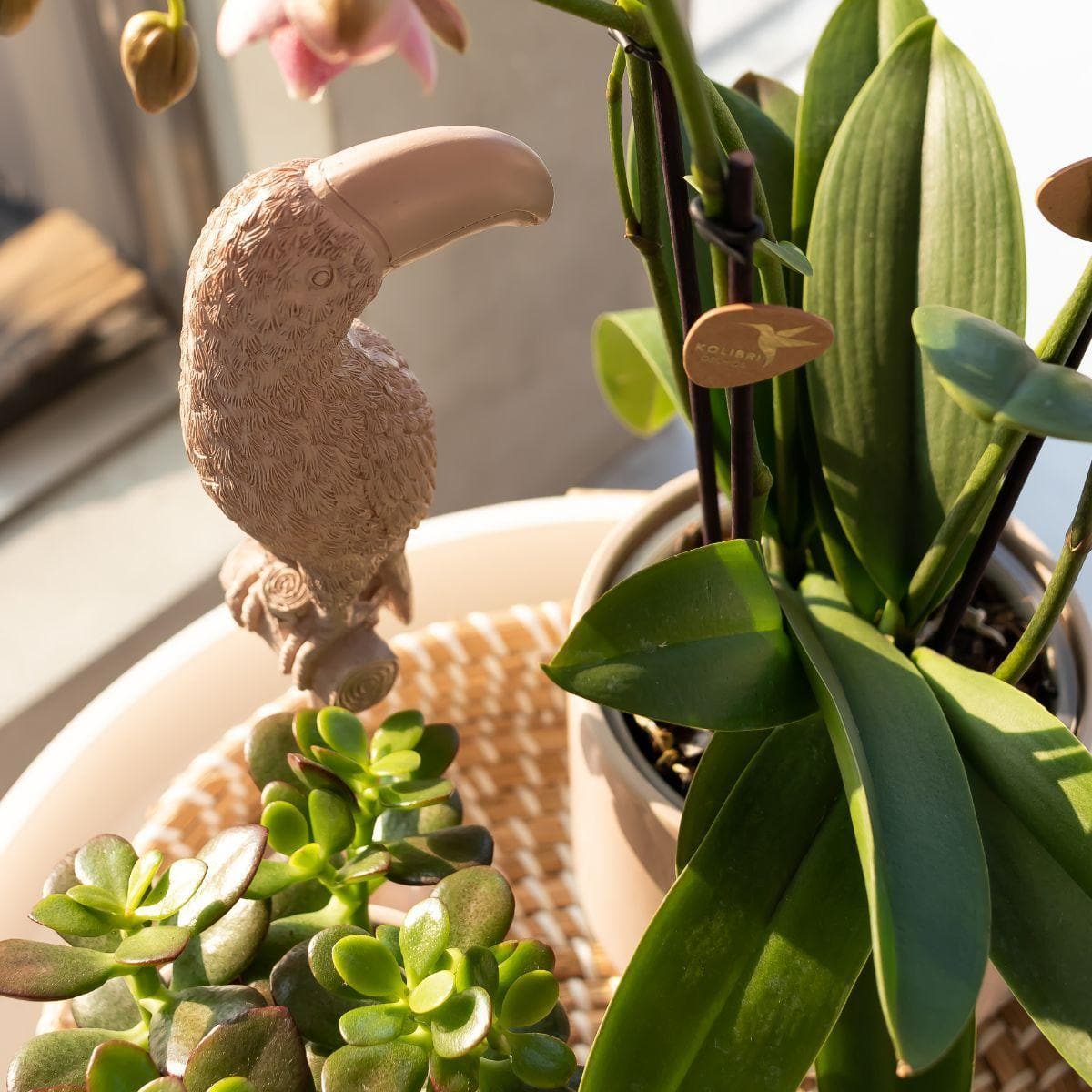 Kolibri Home | 'Nude' Tukan-Skulptur auf Ständer - 30cm - Elegantes Naturornament Pink Nude Vogel Dekoration - grüne-wurzel