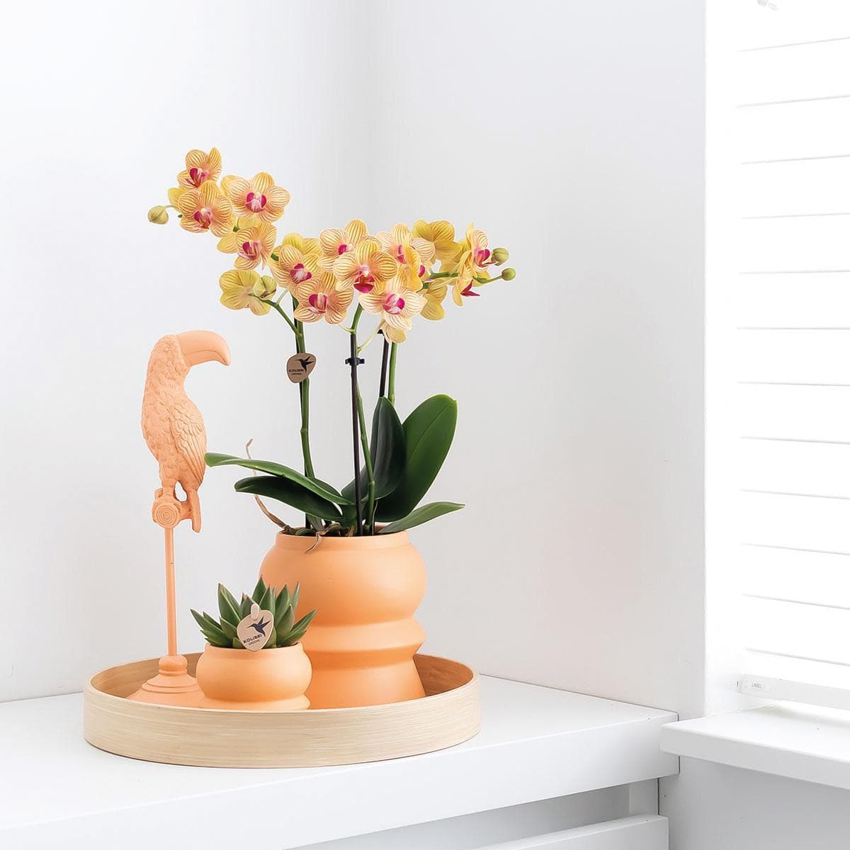 Kolibri Home | Pfirsichfarbene Tukan Skulptur - 30cm - Trendiges Wohnraum-Ornament Orange Vogel Dekoration - grüne-wurzel