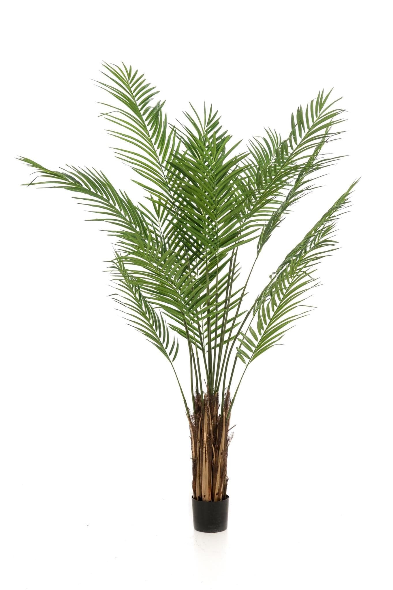 Kunstpflanze Areca Lutescens - Goldpalme - 180 cm - Zimmerpflanze - künstliche Pflanzen wie echt - grüne-wurzel