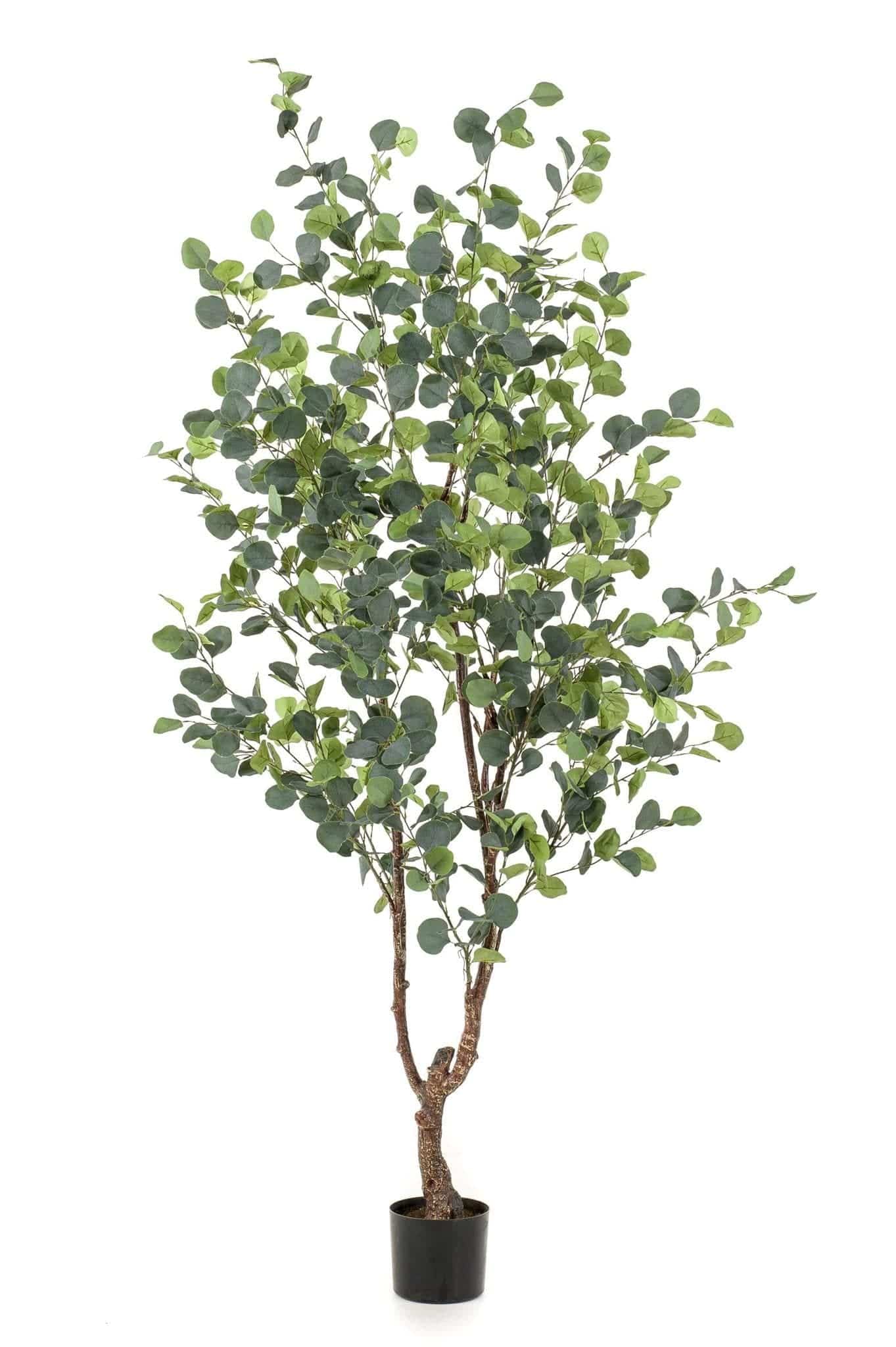 Kunstpflanze - Eucalyptusbaum - Blauer Gummibaum - 180 cm - Zimmerpflanze - künstliche Pflanzen wie echt - grüne-wurzel