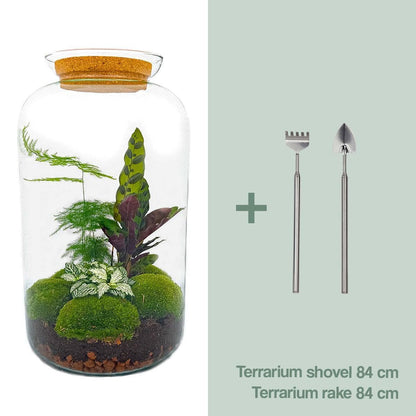 Botanischer Flaschengarten 'Sven XL' - Elegantes Terrarium mit Korkdeckel und Pflanzenensemble - 43 cm Höhe Pflegeleichte Pflanze - grüne-wurzel