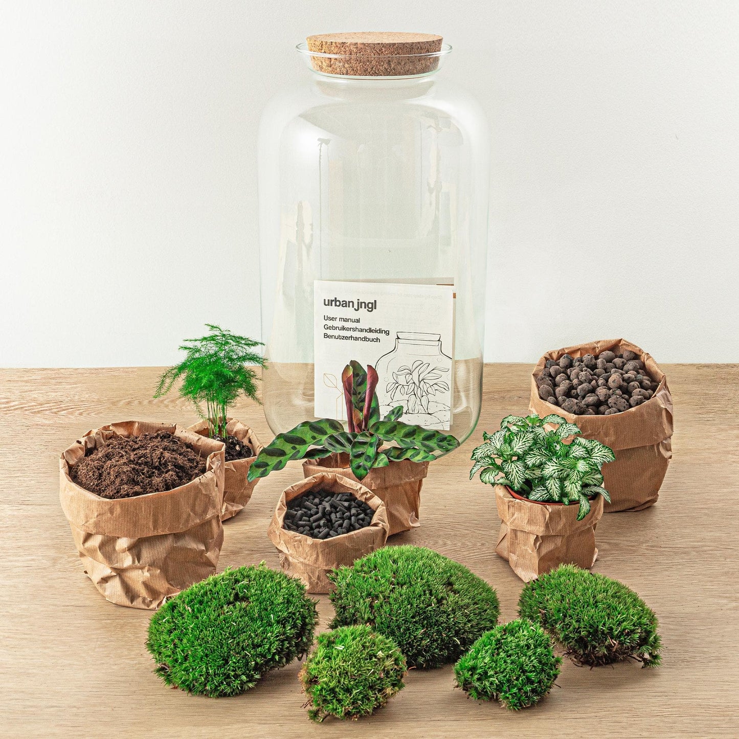 Botanischer Flaschengarten 'Sven XL' - Elegantes Terrarium mit Korkdeckel und Pflanzenensemble - 43 cm Höhe Pflegeleichte Pflanze - grüne-wurzel