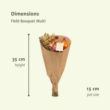 Bunter Trockenblumen Feldstrauß 'Multi' – Natürlich & Nachhaltig – Durchmesser 15 cm, Höhe 35 cm Trockenblumen Blumen Blumenstrauß - Langlebig Pflanzen - grüne-wurzel