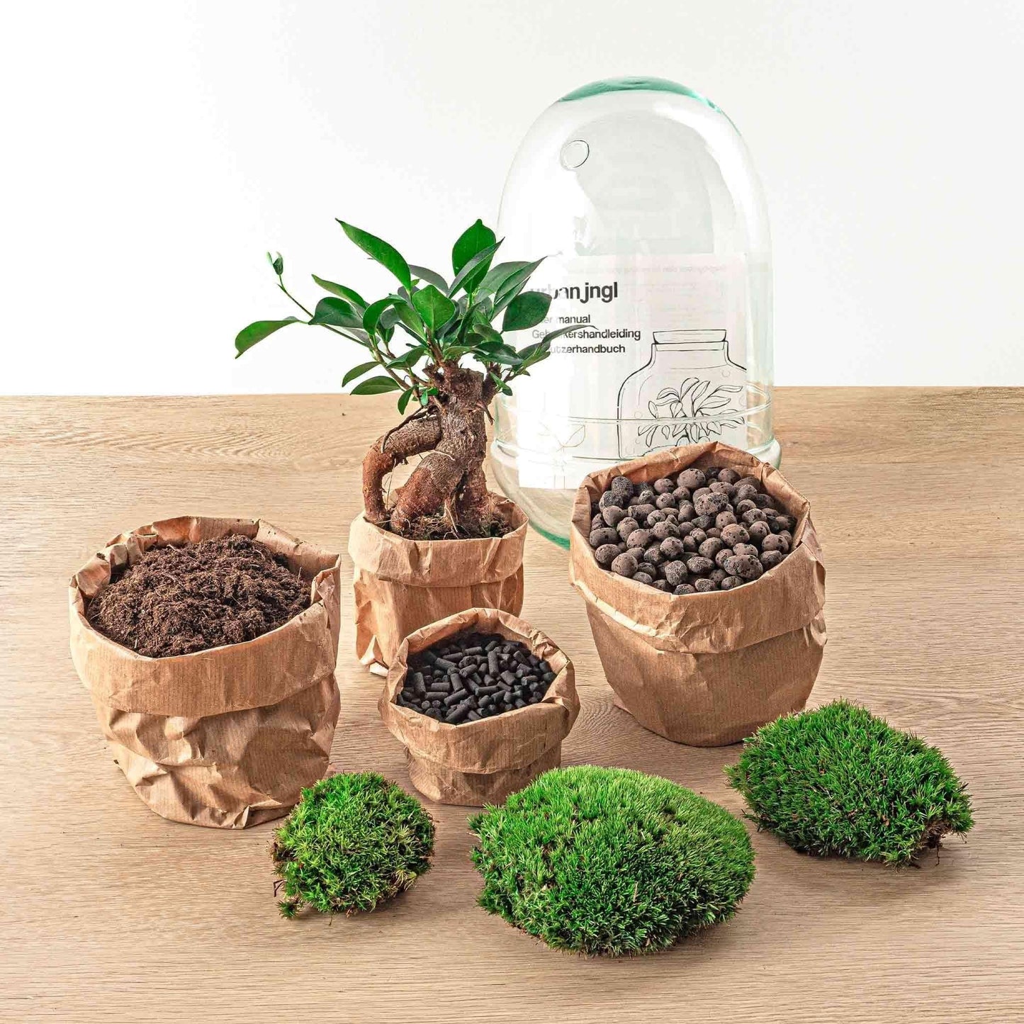 DIY Flaschengarten DIY Terrarium Set "Ei Bonsai" – 25 cm Hoch – Mit Ficus Ginseng und Selbstbewässerungs-Ökosystem - Bonsai Terrarium Pflanzen - grüne-wurzel