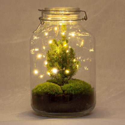 DIY Flaschengarten - Jar Christma - ↕ 28 cm - grüne-wurzel