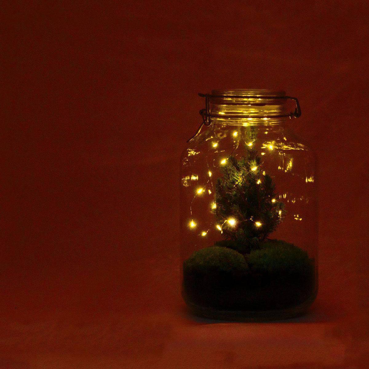 DIY Flaschengarten - Jar Christma - ↕ 28 cm - grüne-wurzel