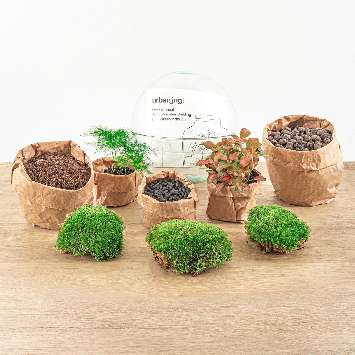 DIY Flaschengarten "Rote Kuppel" mit Gartenwerkzeug-Kit (Rechen + Schaufel)  – Komplettes Terrarium Set mit Fittonia & Spargel, Ø 20cm, Höhe 20cm Pflanzen - grüne-wurzel