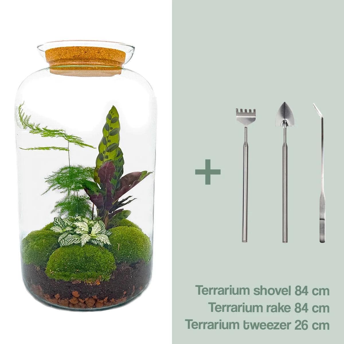 DIY Flaschengarten Selbstversorgendes Botanik-Terrarium Set Sven XL - Urbaner Dschungel - 43 cm mit Gartenwerkzeug Rechen + Schaufel + Pinzette Pflanzen - grüne-wurzel