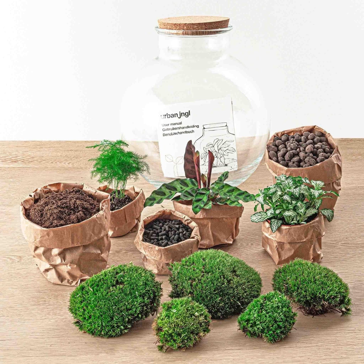 DIY Flaschengarten Terrarium Set 'Zen Bonsai' mit Premium-Werkzeugen – 30 cm Glas Biotop mit Ficus Bonsai und Zubehör Rechen + Schaufel + Pinzette - grüne-wurzel