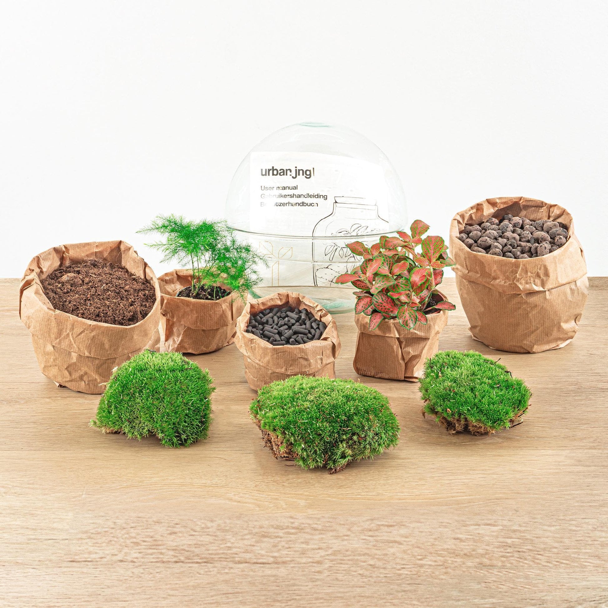 DIY Kompaktes Rote Kuppel Flaschengarten Terrarium Set mit Gartenwerkzeug (Rechen, Schaufel, Pinzette) – Fittonia & Spargel, Ø 20cm, Höhe 20cm Pflanzen - grüne-wurzel