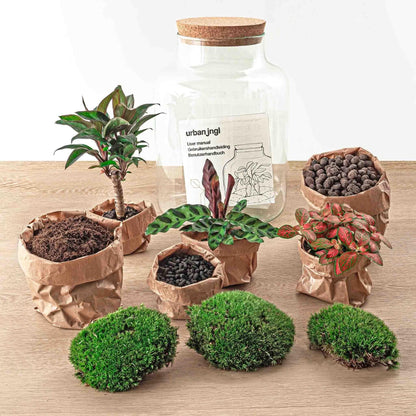 DIY-Terrarium-Kit "Oase Milchpalme" – Selbstpflegendes Mini-Ökosystem mit Mini-Palme, Calathea & Fittonia – 30 cm Flaschengarten - grüne-wurzel