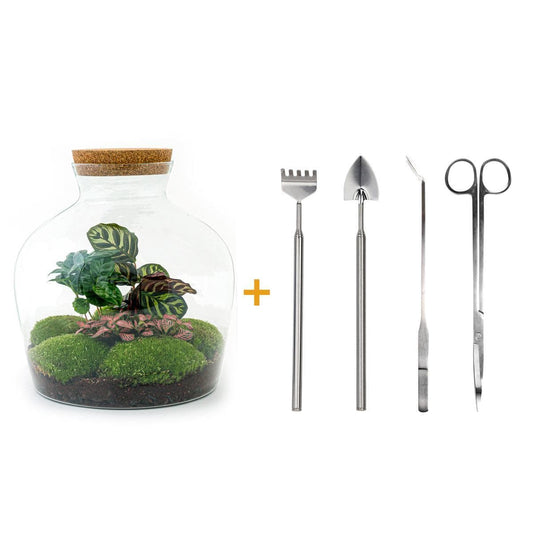 Flaschengarten - Fat Joe Coffea - ↕ 30 cm - Rake + Shovel + Tweezer + Scissors - grüne-wurzel