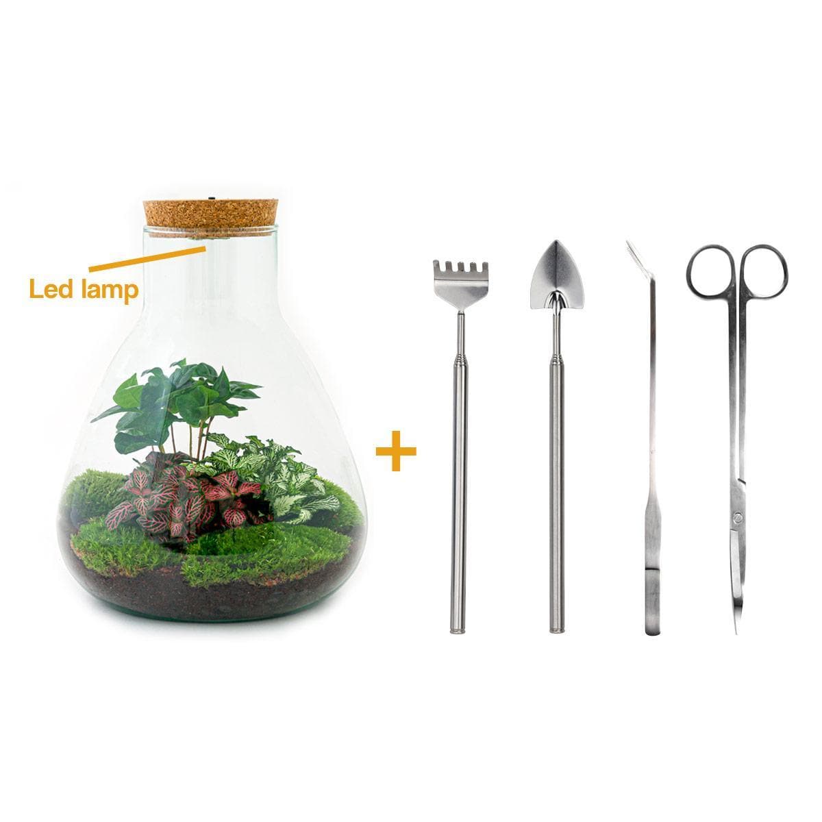 Flaschengarten - Sam mit Lampe - ↕ 30 cm - Rake + Shovel + Tweezer + Scissors - grüne-wurzel