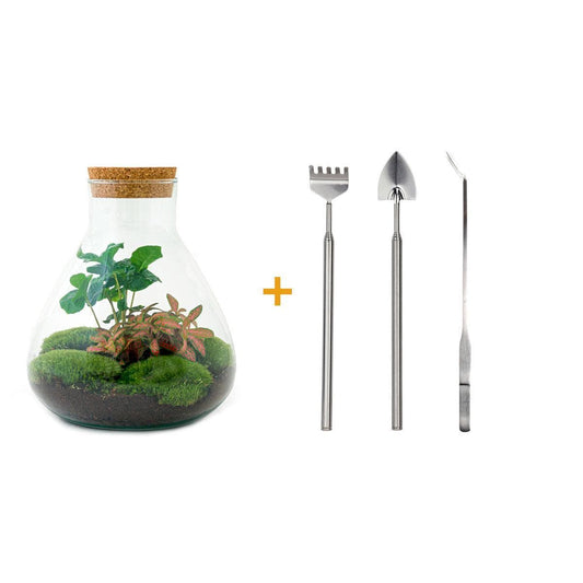 Flaschengarten - Sammie Coffea - ↕ 26 cm - Rake + Shovel + Tweezer - grüne-wurzel