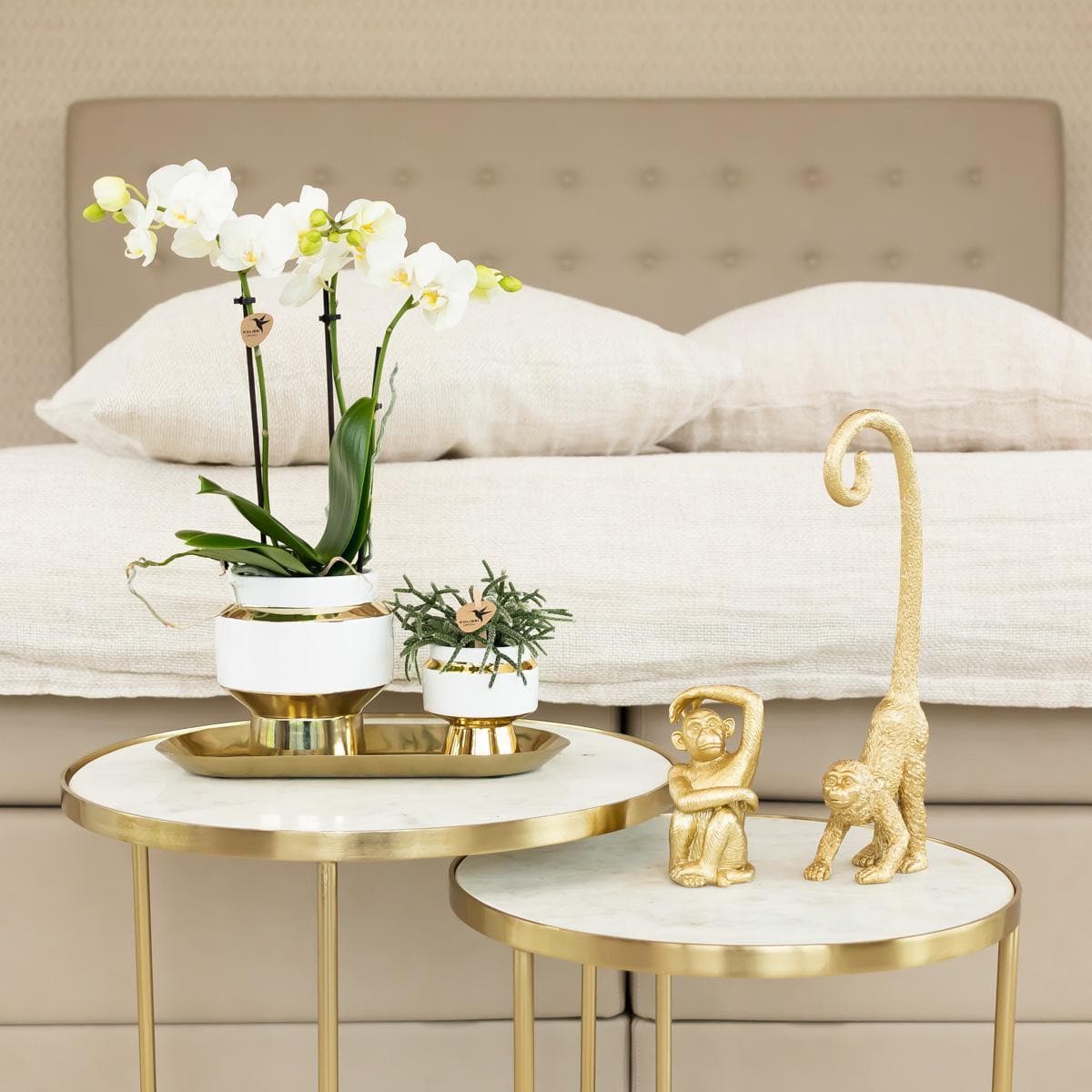 Kolibri Home | Le Chic Blumentopf - Eleganter Weiß und Gold Keramiktopf Ø6cm - grüne-wurzel