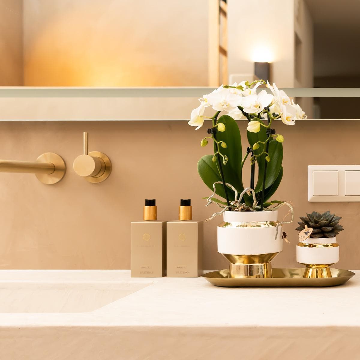 Kolibri Home | Le Chic Blumentopf - Weißer Keramiktopf mit goldenen Akzenten Ø9cm - grüne-wurzel