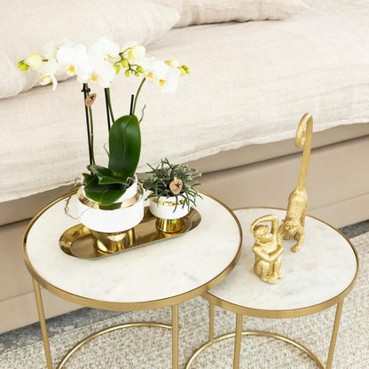 Kolibri Home | Le Chic Blumentopf - Weißer Keramiktopf mit goldenen Akzenten Ø9cm - grüne-wurzel