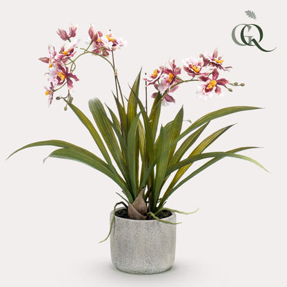 Kunstpflanze - Orchidee - Oncidium - 45 cm - Zimmerpflanze - künstliche Pflanzen wie echt - grüne-wurzel