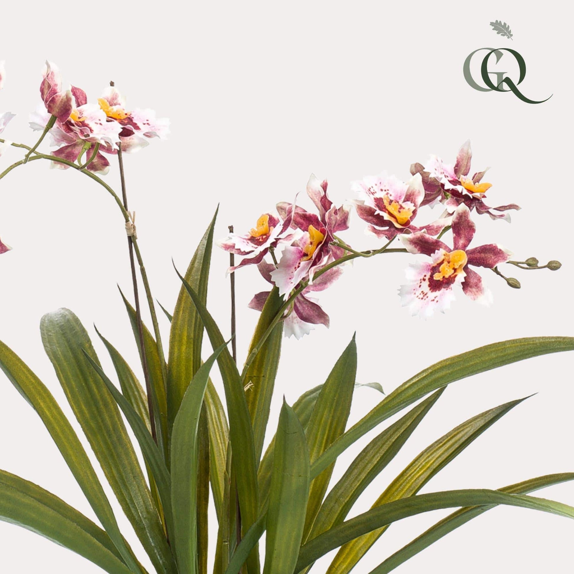 Kunstpflanze - Orchidee - Oncidium - 45 cm - Zimmerpflanze - künstliche Pflanzen wie echt - grüne-wurzel