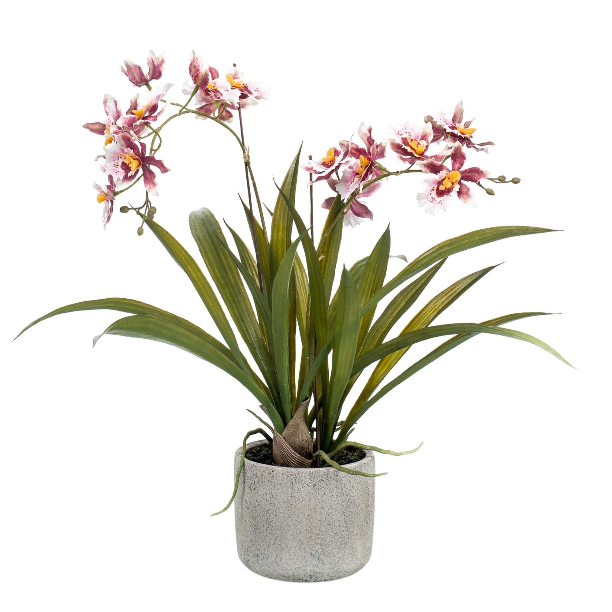 Kunstpflanze - Orchidee - Oncidium - 45 cm - Zimmerpflanze - künstliche Pflanzen wie echt - grüne-wurzel