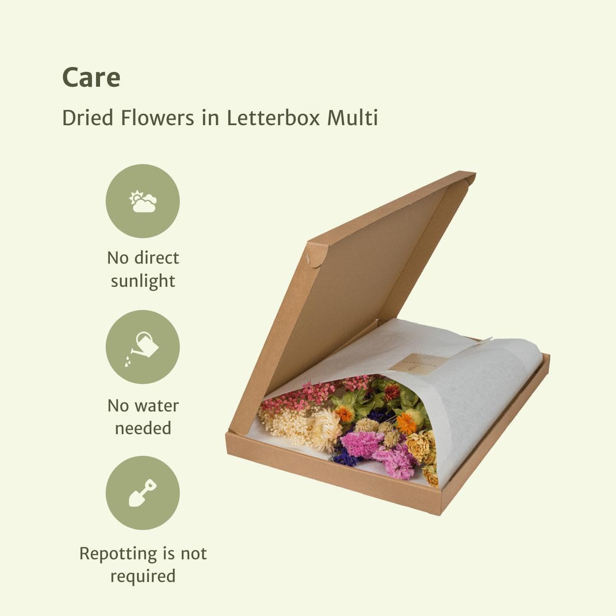 Langlebige Trockenblumenbox 'Postbox Delight' - Haltbare Blumenpracht für Heim & Büro Trockenblumen Blumenstrauß Blumen Pflegeleicht Pflanzen Bunt - grüne-wurzel