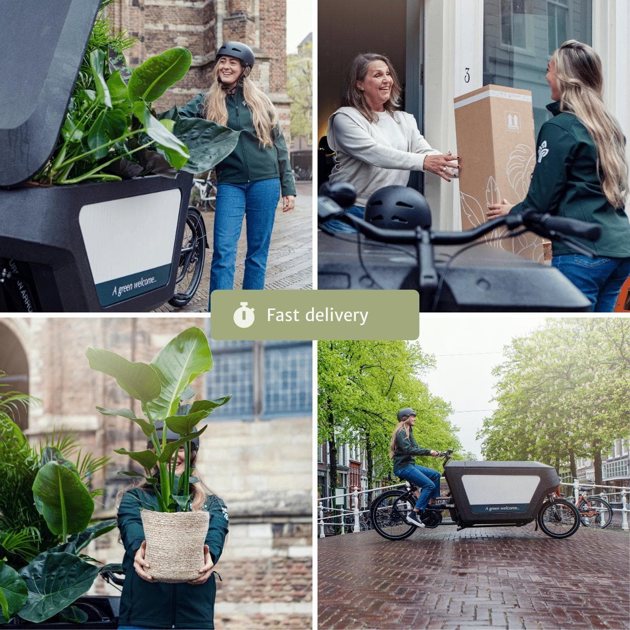 Langlebige Trockenblumenbox 'Postbox Delight' - Haltbare Blumenpracht für Heim & Büro Trockenblumen Blumenstrauß Blumen Pflegeleicht Pflanzen Bunt - grüne-wurzel