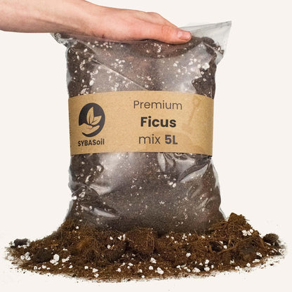 Optimierter Ficus-Mix 5L – Premium Substrat für robuste Wurzelentwicklung Erde - grüne-wurzel