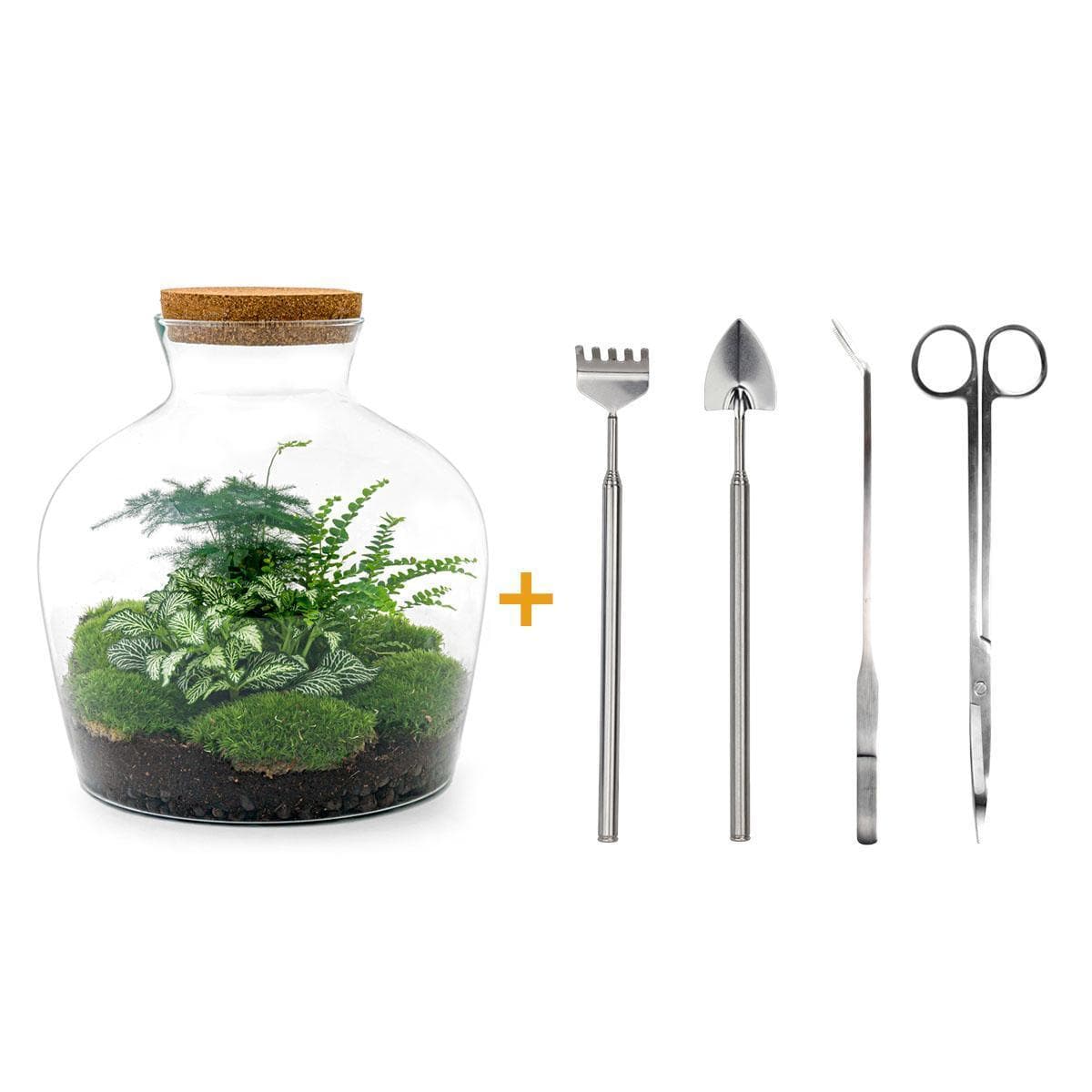 DIY "Fat Joe Grün" Komplettset Flaschengarten mit Pflanzen und Mini-Gartenwerkzeug (Rechen, Schaufel, Pinzette, Schere) - Ø 29cm, Höhe 30cm Pflanzen Terrarium - grüne-wurzel