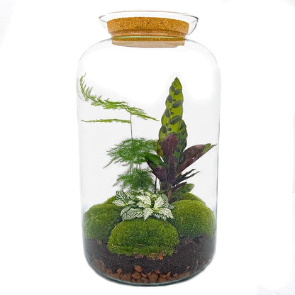 DIY Selbstpflegender Flaschengarten Deluxe mit Bonsai und Werkzeug (Rechen + Schaufel + Pinzette + Schere) - Glas-Biotop - 43 cm Terrarium - grüne-wurzel