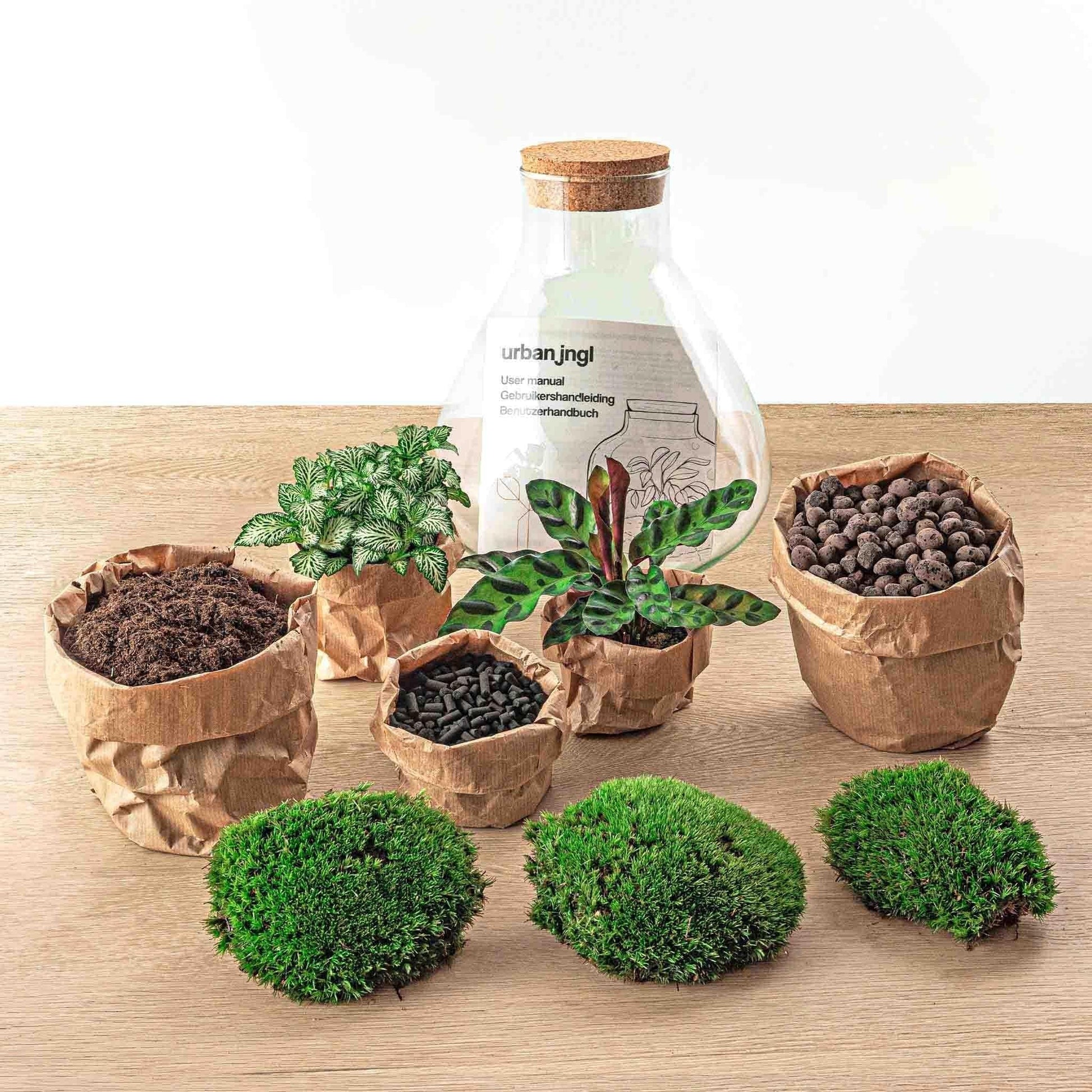 DIY Terrarium Kit 'Sammie' – Vollständiges Set für Selbstversorger-Terrarium – ↕27 cm, Ø22.5 cm - grüne-wurzel