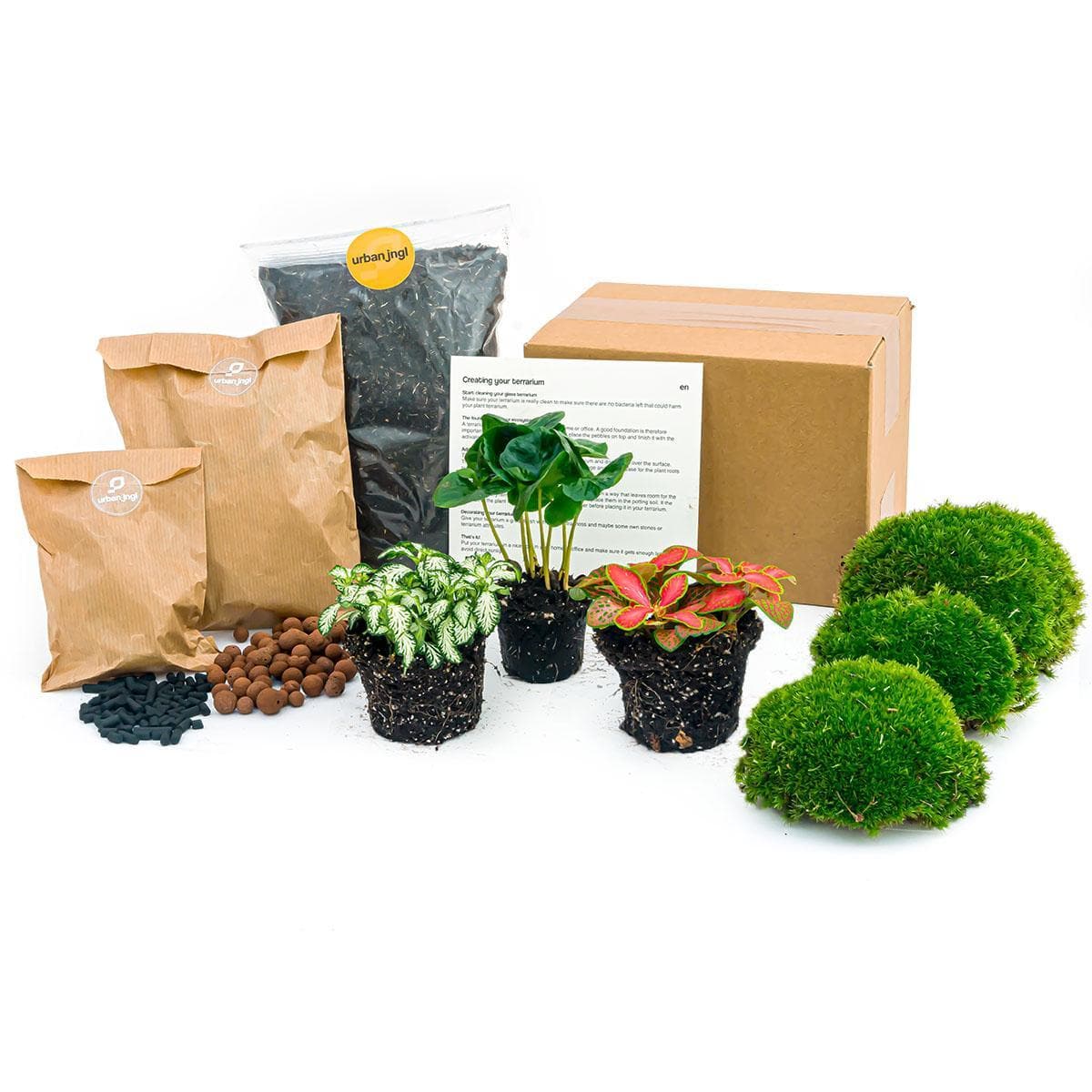 Flaschengarten Paket Coffea Arabica - Terrarium Pflanzen Set - grüne-wurzel