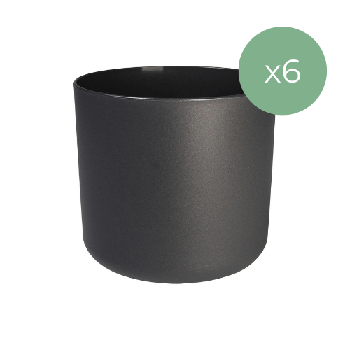 6 x Elho B.for Soft Anthrazit Pflanzentopf – Modernes Design Ø 14 cm - grüne-wurzel