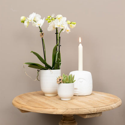 Kolibri Home | Blumentopf glasiert - Weißer Keramik-Ziertopf mit Glanz - Ø6cm - grüne-wurzel