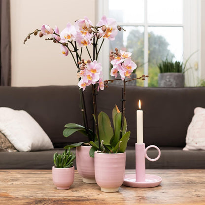 Kolibri Home | Glasierter Blumentopf - rosa Keramik Ziertopf mit Glanz - Ø12cm - grüne-wurzel