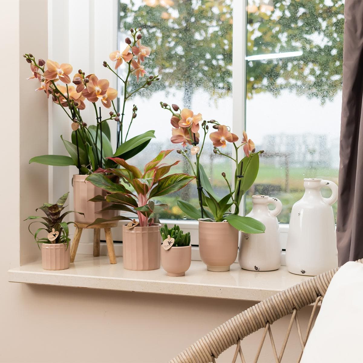 Kolibri Home | Blumentopf glasiert - Sandfarbener Keramik-Ziertopf mit Glanz - Ø9cm - grüne-wurzel