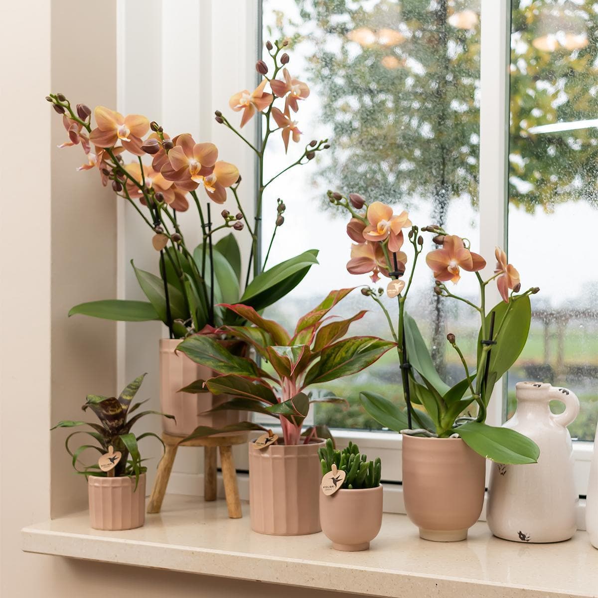 Kolibri Home | Blumentopf glasiert - Sandfarbener Keramik-Ziertopf mit Glanz - Ø9cm - grüne-wurzel