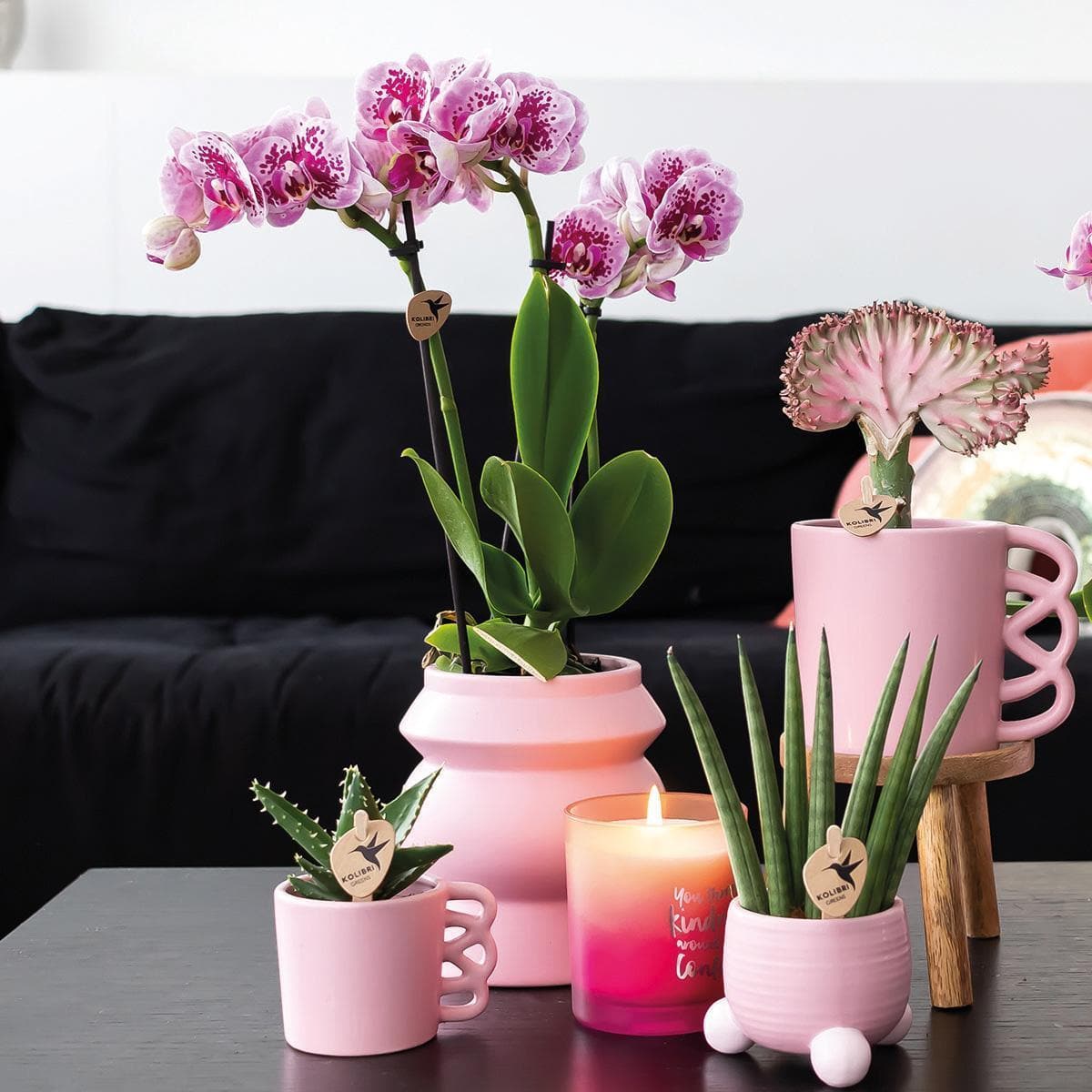 Kolibri Home | Happy Mug Blumentopf - rosa Keramik Ziertopf - Ø9cm - grüne-wurzel