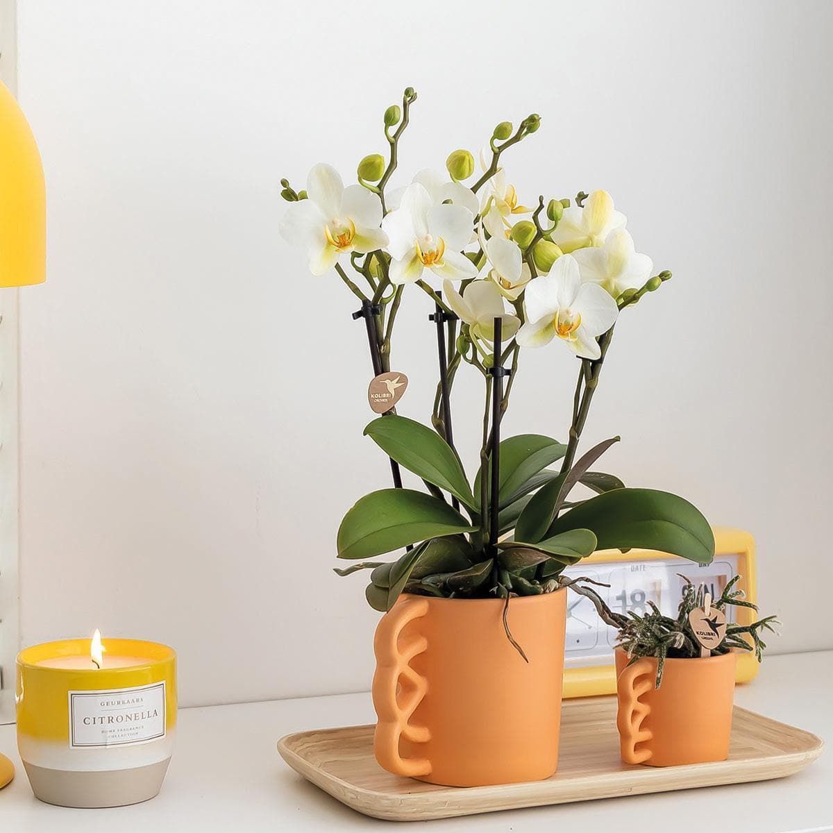 Kolibri Home | Happy Mug Blumentopf - pfirsichfarbener Keramik-Ziertopf - Ø9cm - grüne-wurzel