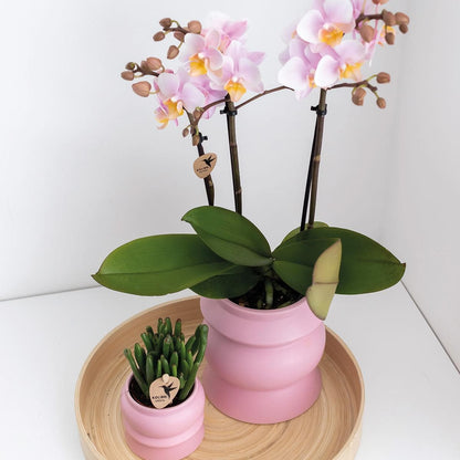 Kolibri Home | Tower rosa Blumentopf - rosa Keramik Ziertopf - Ø9cm - grüne-wurzel